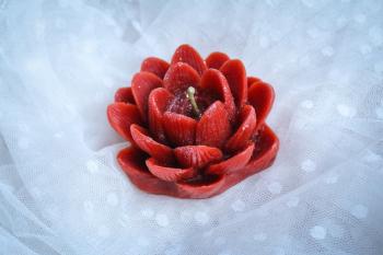 Купить Свеча Лотос