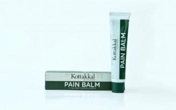 Купить Пейн Бальм, Arya Vaidya Sala/Kottakka Pain Balm 25 г